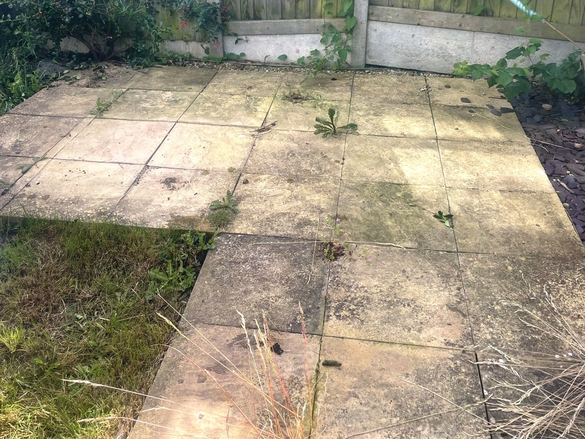 Fjernelse af flisepest